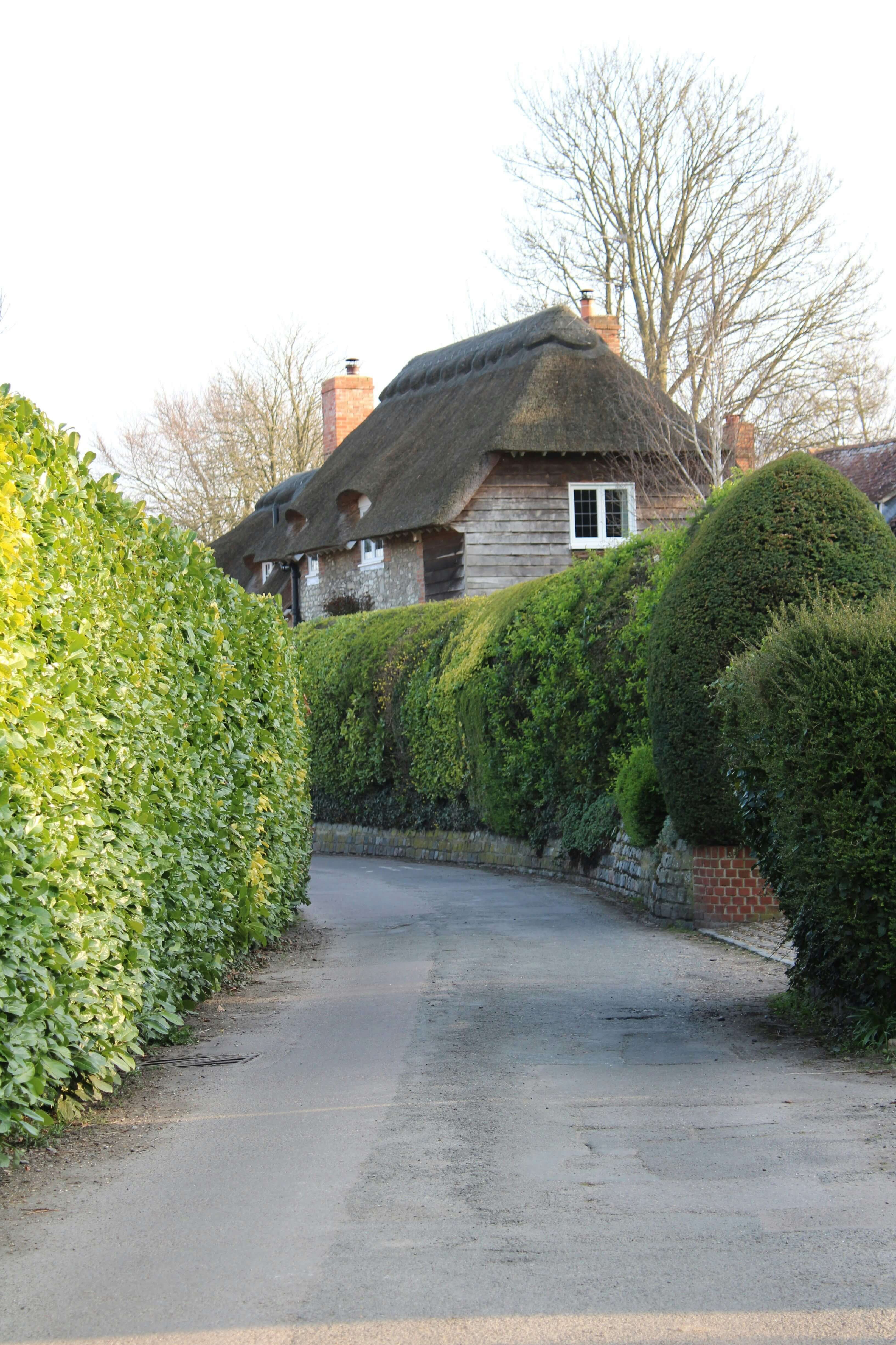 Perfect Drive/Lane with immaculate hedges either side